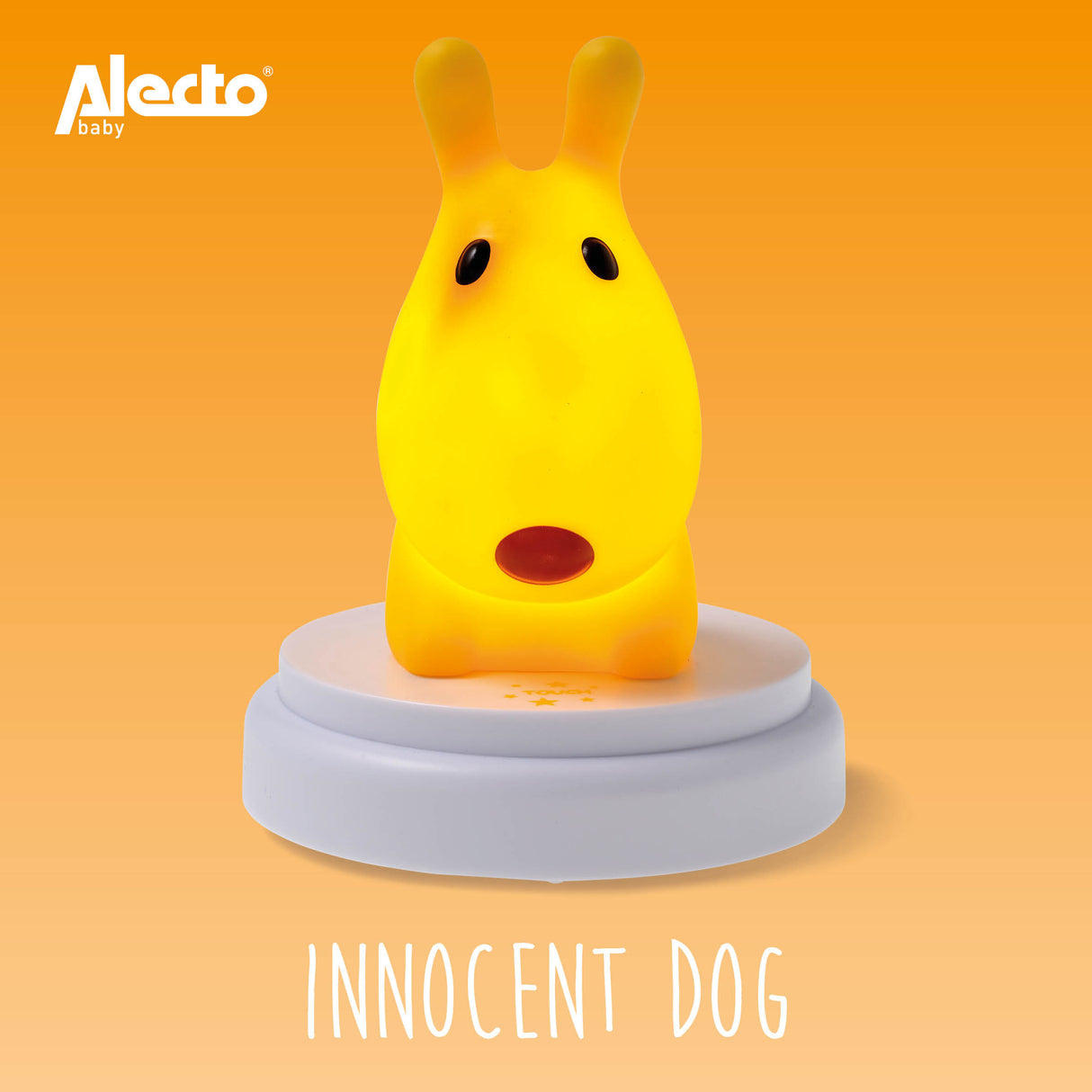 1459236|INNOCENT DOG