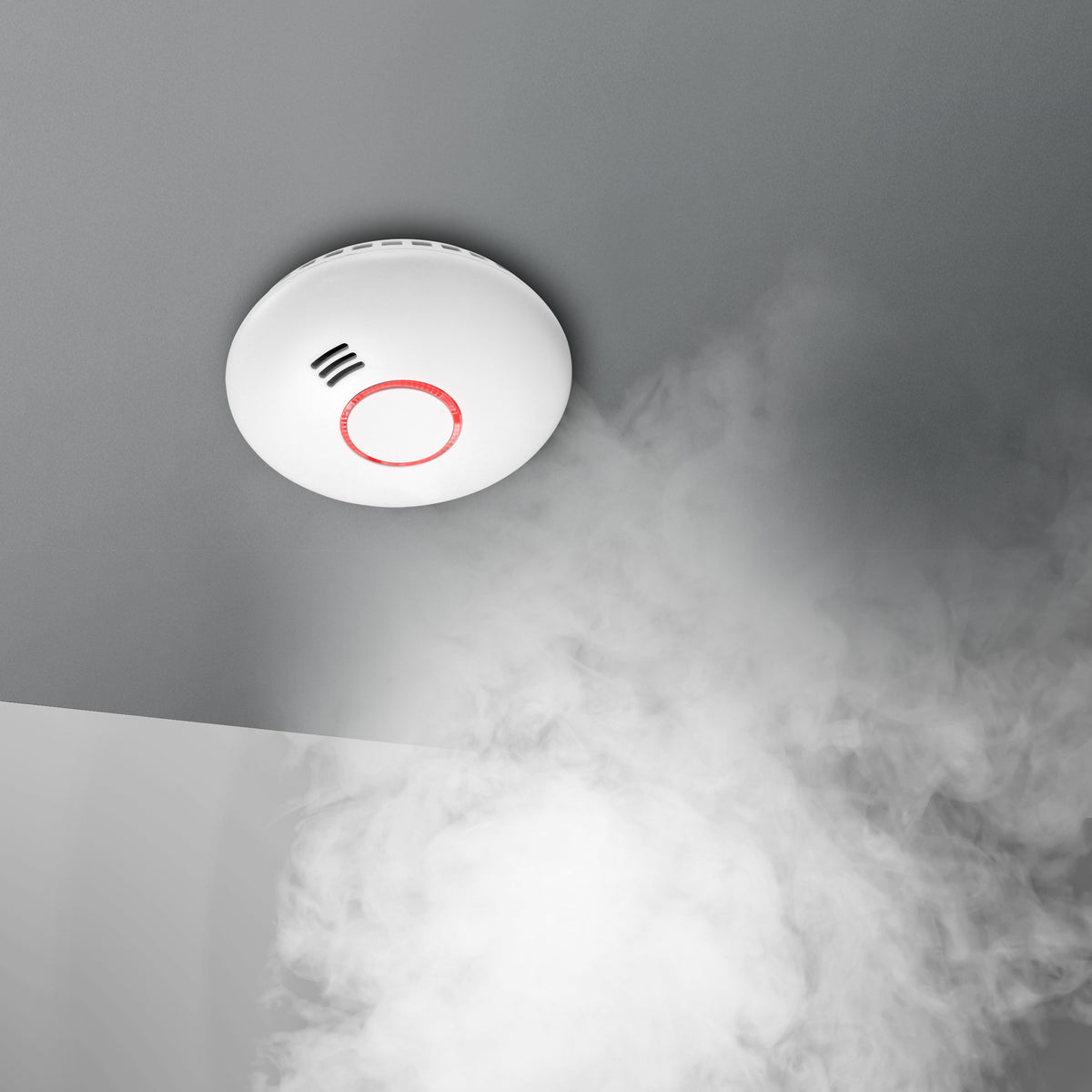 1460290|SMART-SMOKE102