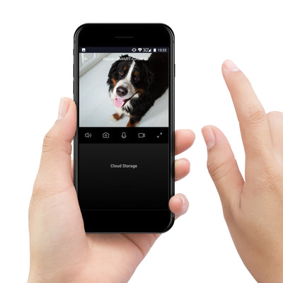 1463464|SMART-SAFETY2