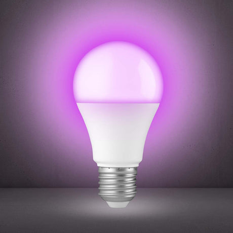 1437574|SMARTBULB10