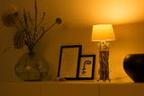 1461284|SMARTLIGHT110