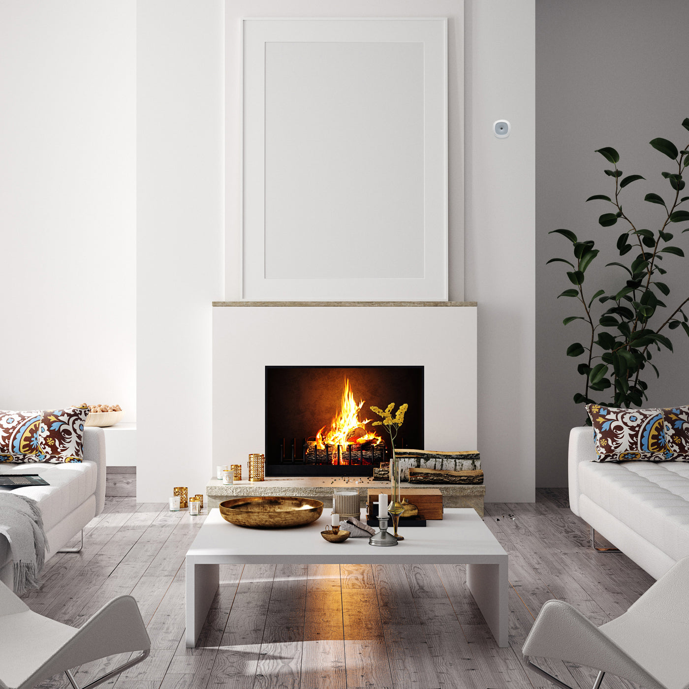 Alecto SMARTCOA10 - Slimme koolmonoxidemelder